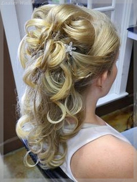 Brautfrisuren lange haare halb hochgesteckt brautfrisuren-lange-haare-halb-hochgesteckt-37_14