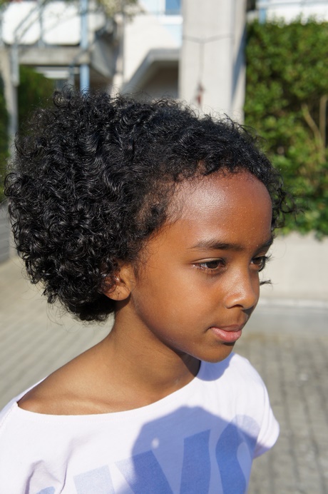 Afro haare frisuren afro-haare-frisuren-19_12