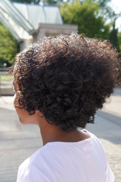 Afro haare frisuren afro-haare-frisuren-19_7